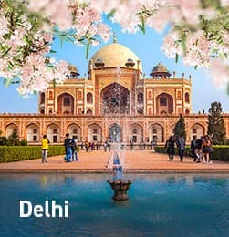 delhi